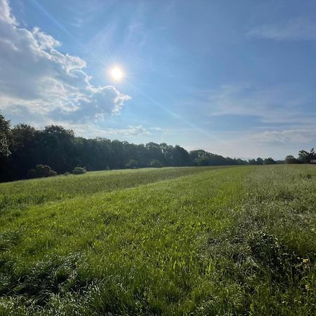 Tinyhaus #1 Huelben - Ortsrand - Kostenlose Parkplaetze Hulben Eksteriør bilde